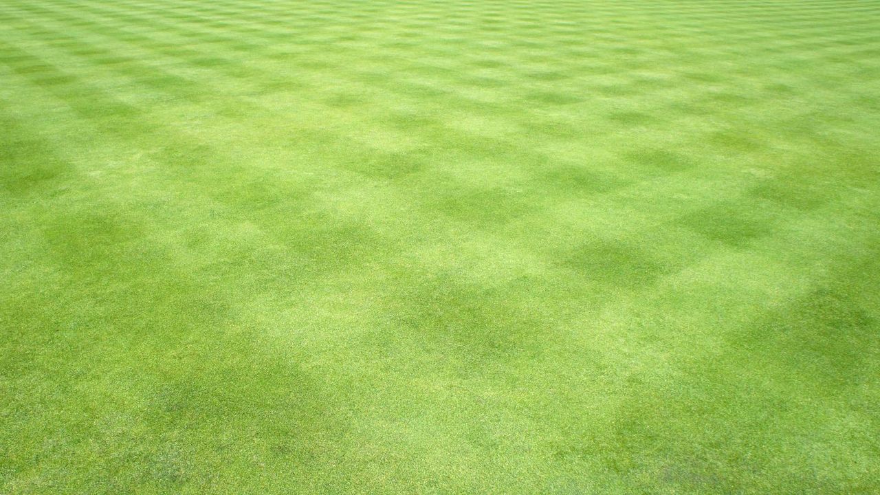 A lawn mowed into a crosshatch effect 