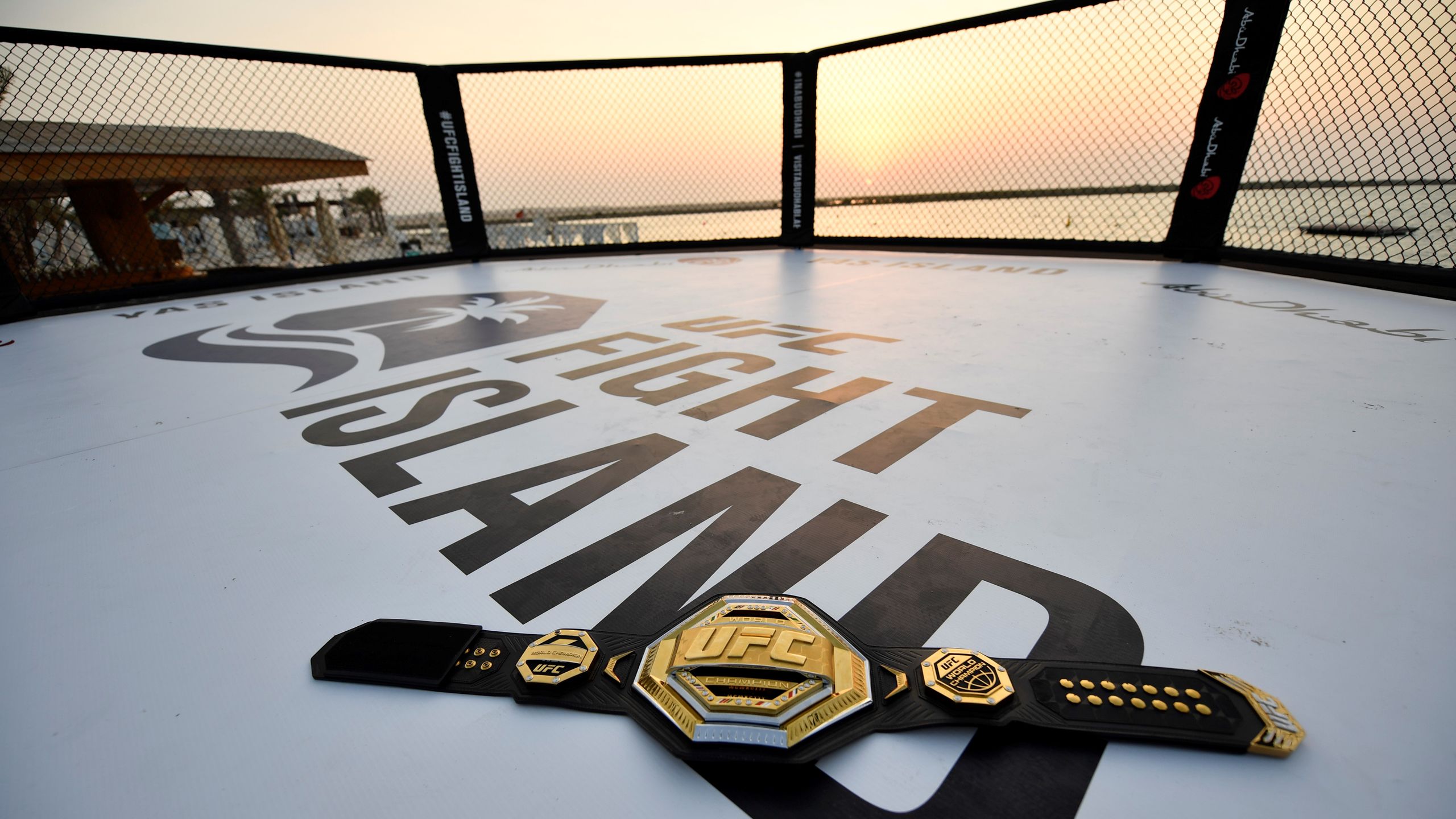 How to watch UFC: live stream every 2026 PPV and Fight Night card ...