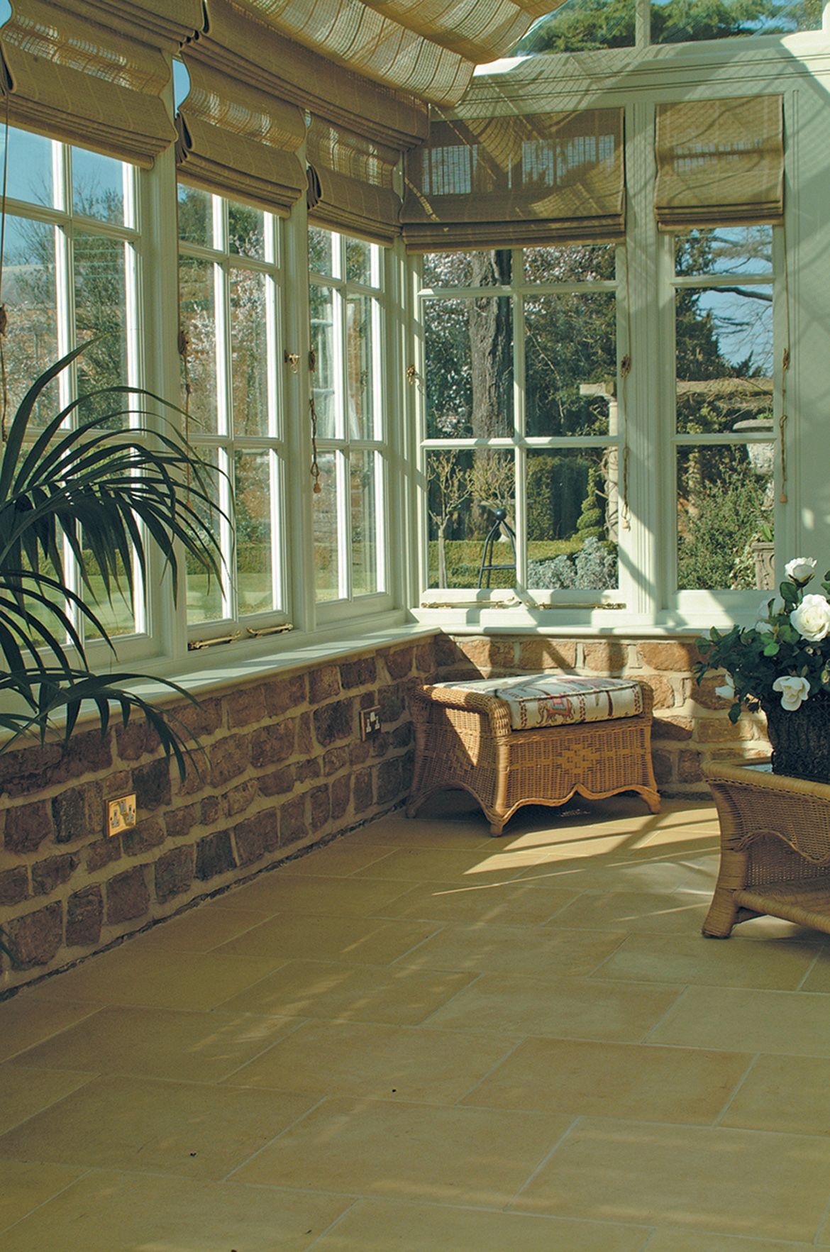 House plant expert gives a top tip for keeping your indoor plants alive