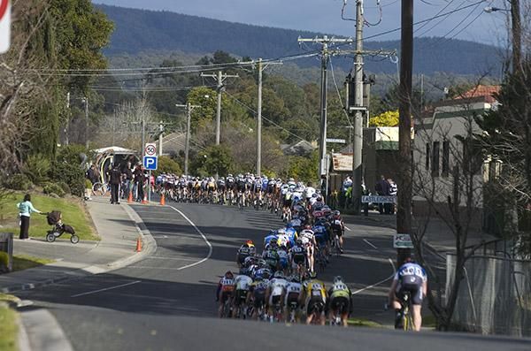 The field snakes it's way along the streets of Newborough in Gippsland Victoria.