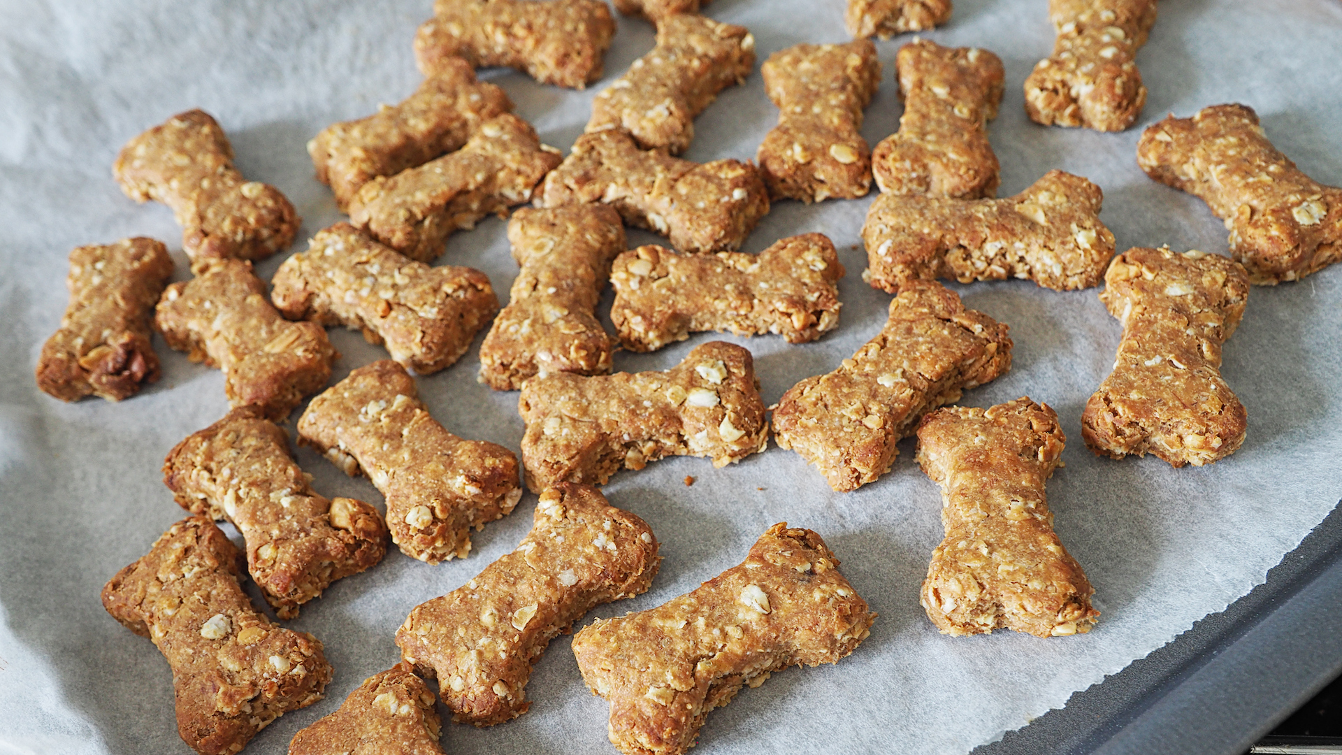 Cookies in dog bone shape