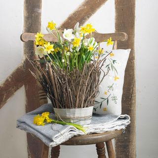 yellow flower with wooden chair