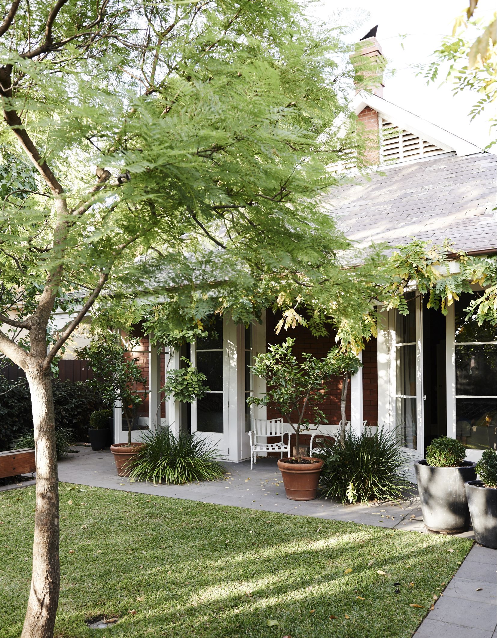 A house exterior and backyard, shaded by small trees