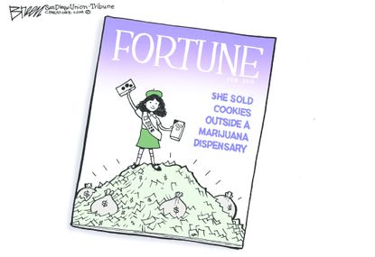 Editorial cartoon U.S. Girl Scout cookies marijuana