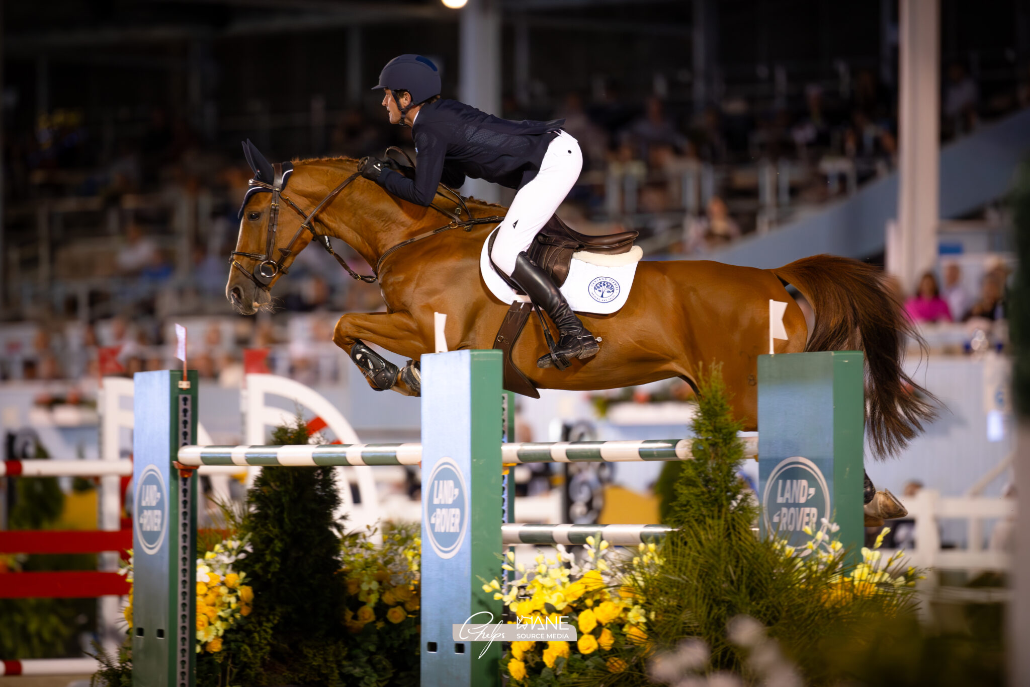 Showjumping news: Darragh Kenny and Serendepety win at Devon Horse Show