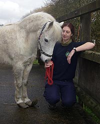 rescued-pony.jpg