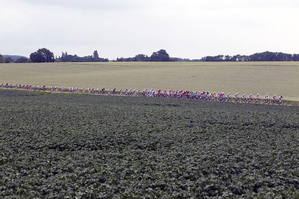 The peloton en route to Spa during stage two of the Tour.