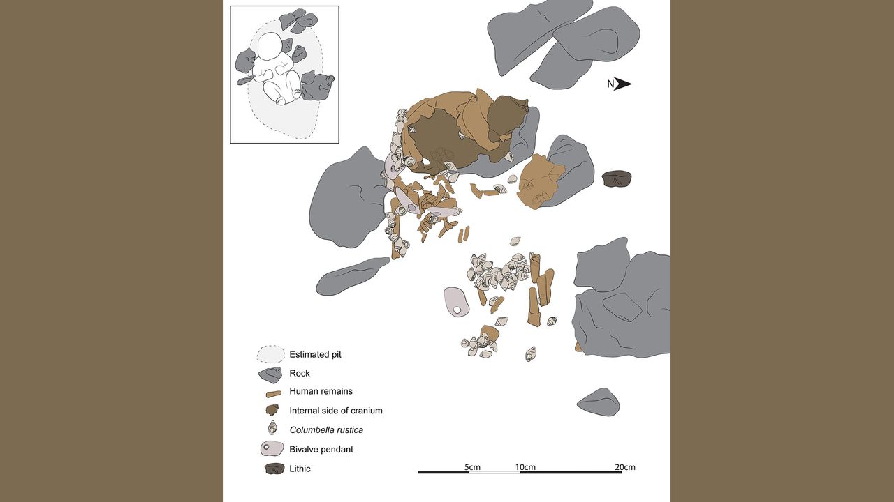 An illustration showing the layout of the burial and grave goods.