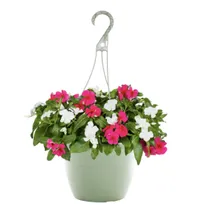 Lowe's Memorial Day sale: lawncare, flowers, and garden accessories from $2 Lowe's Memorial Day sale: lawncare, flowers, and garden accessories from $2