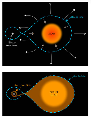 A diagram shows how a star swells to fill its Roche lobe and feed material to a companion star.