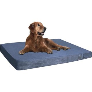 Dogbed4less Extra Large Orthopedic Gel Memory Foam Dog Bed