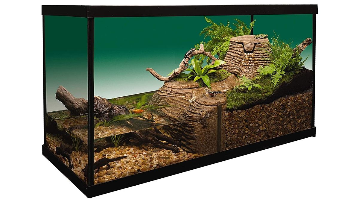 Best turtle aquariums 2023: Set up a perfect turtle tank | PetsRadar