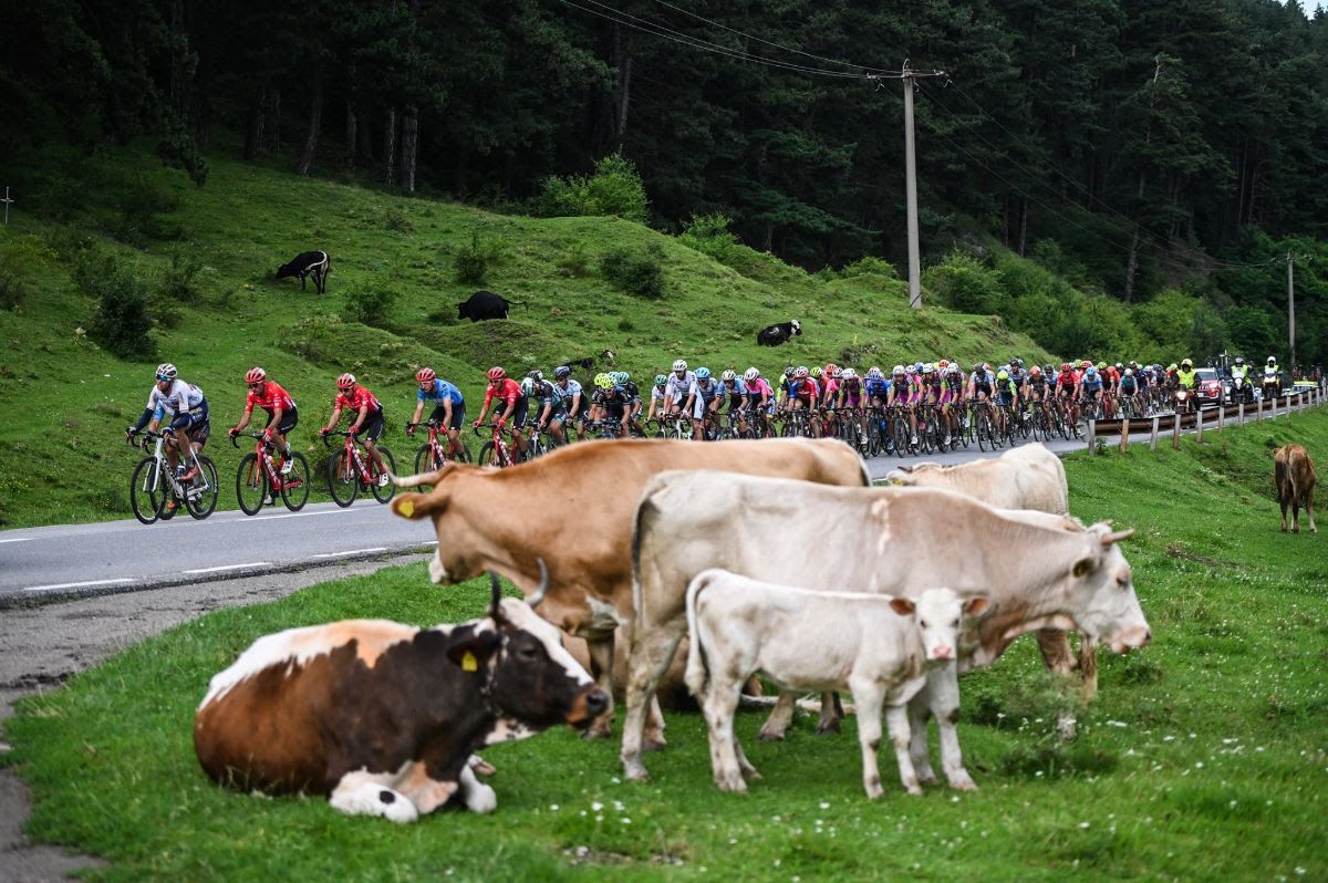 Stage 2 of the Sibiu Cycling Tour