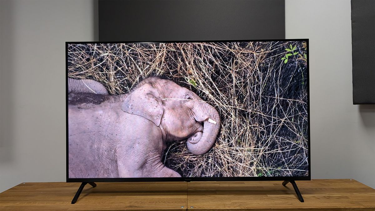 Panasonic W90A 65-inch TV