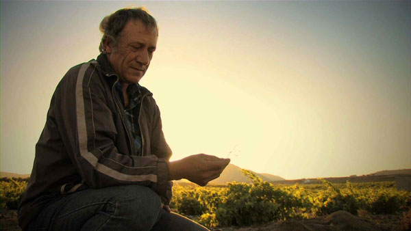 Jefford blog Santorini