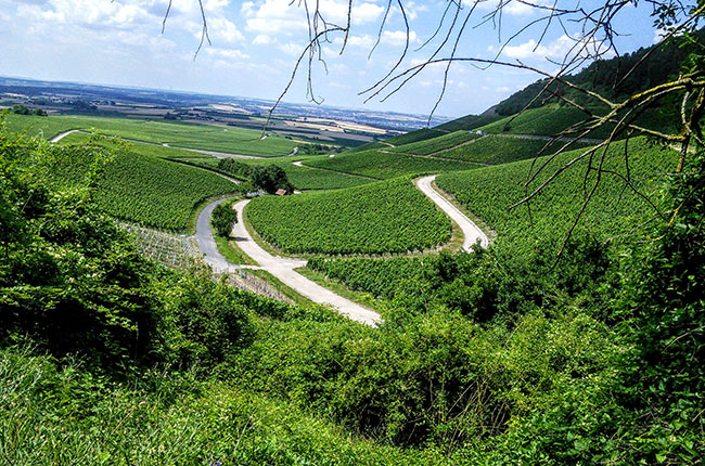 Views of Julius-Echter-Berg near Iphofen.