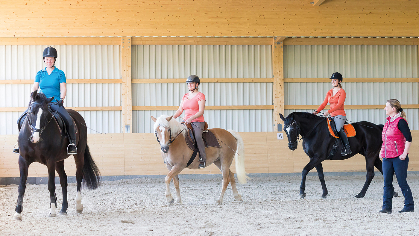 F11N7M Riding lesson in a riding hall