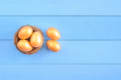 a bird's nest with three golden eggs in it and two on the side with blue background