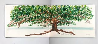 drawing of a tree by Andre Laurentino