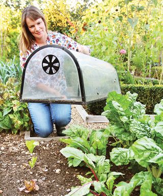 person placing a tunnel cloche on a vegetable garden