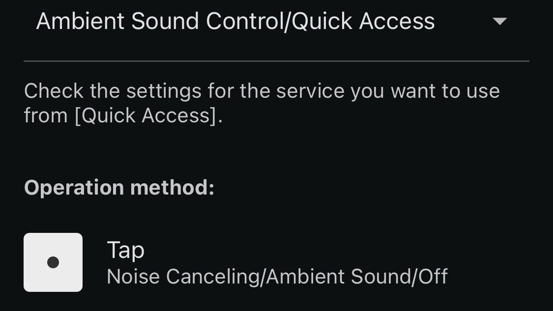 A screenshot of the Sony Sound Connect app showing customisable controls.