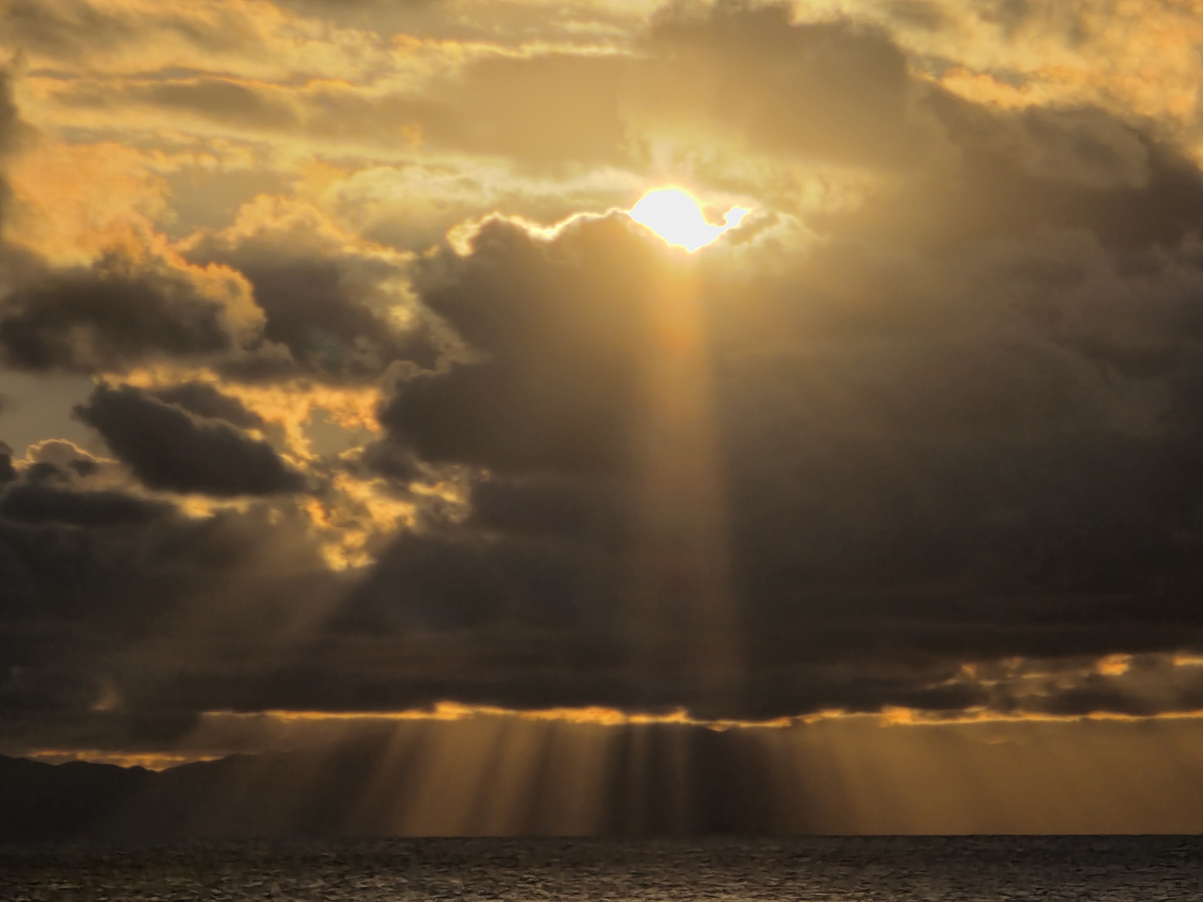 GuruShots - February 2026