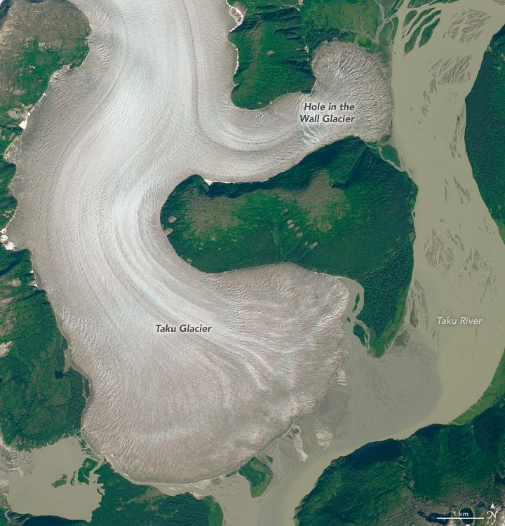 Taku Glacier in Alaska can be seen holding strong in this satellite image captured in August 2014. (Image: © NASA Earth Observatory)