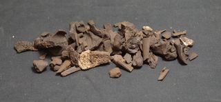 Animal bones found at the Stone Age site contained mostly seal remains, dated to around 9,000 years ago.