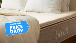 Birch organic latex mattress topper on the bed with a price drop TG badge