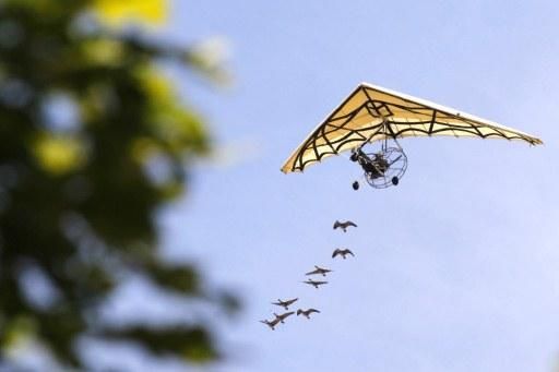 A hang glider is followed through his flight