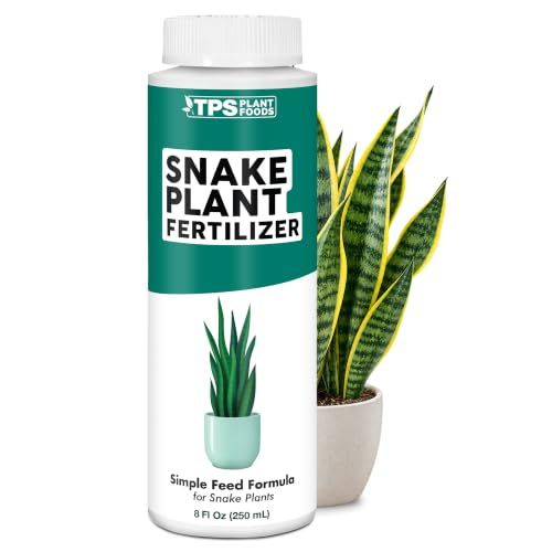 Snake Plant Fertilizer