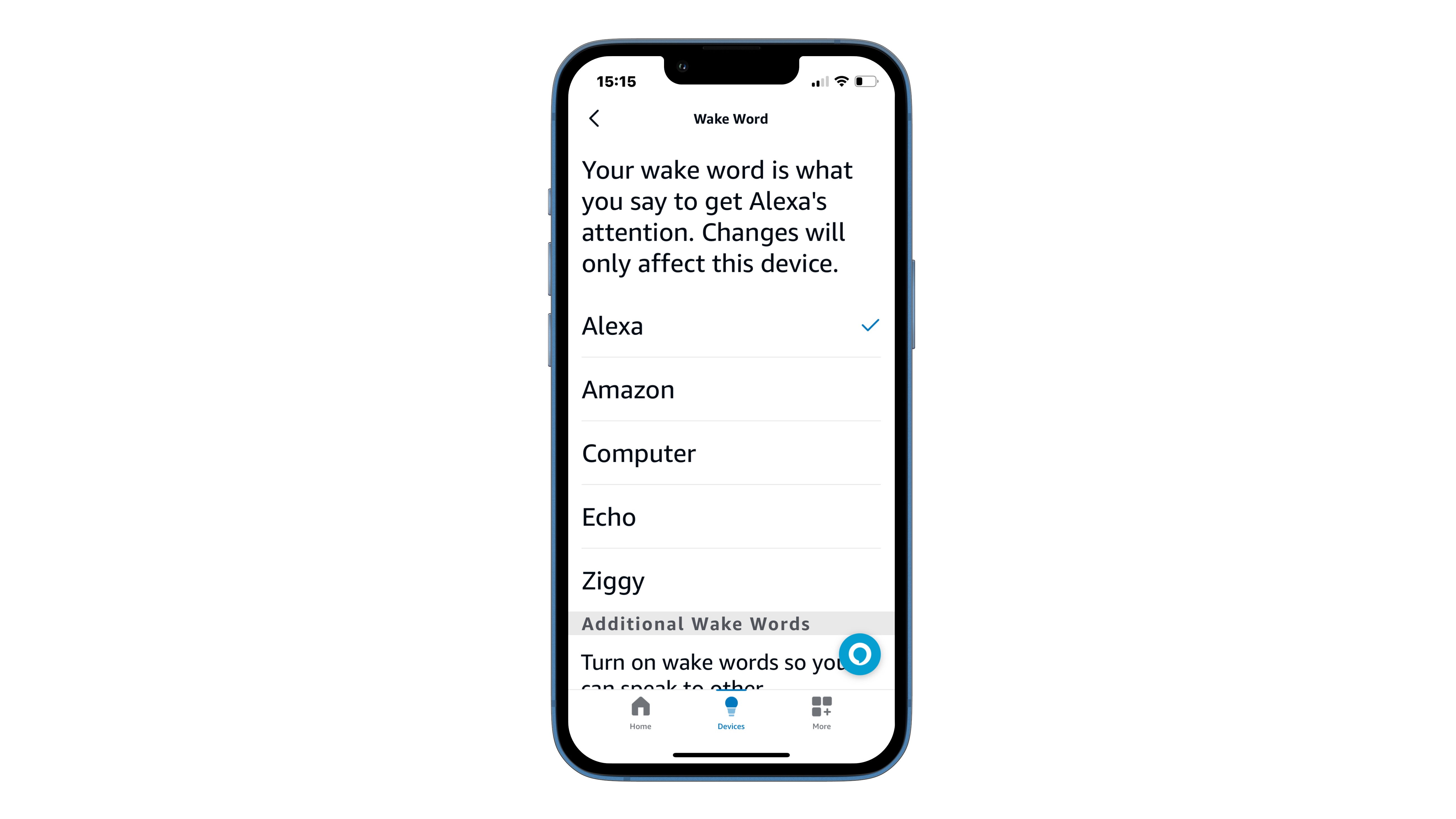 Check Wake Word