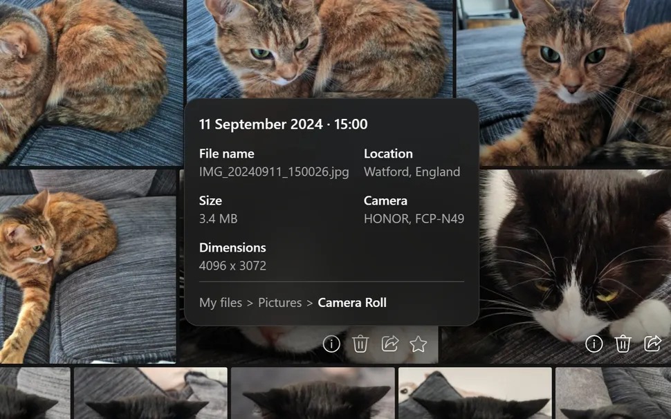 Screenshots of the OneDrive Windows 11 app