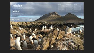 Annual report with double-page penguin photo