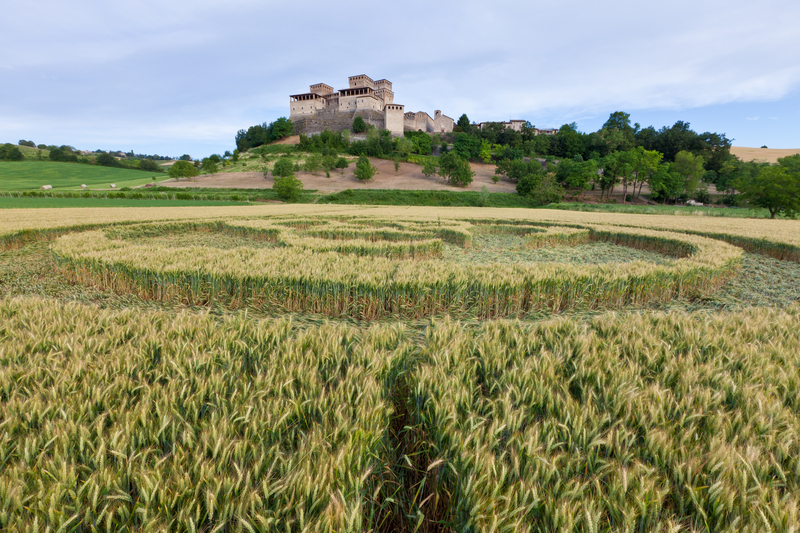 Crop Circle in Italy