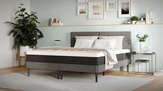 best mattress: Emma mattress in a light, airy bedroom with potted plants on either side