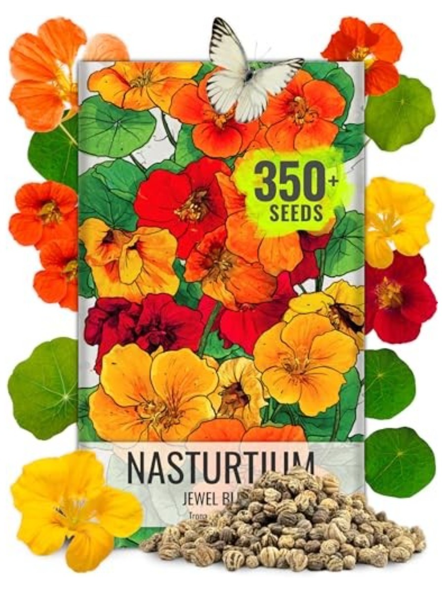 Seed Needs, Nasturtium Seeds Jewel Mix&amp;nbsp;