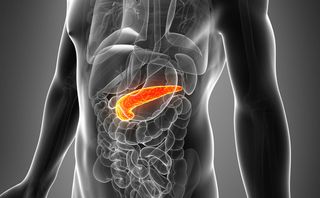 The pancreas is highlighted within a diagram of the human body.