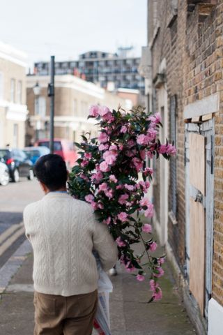 Colombia Road Flower Market