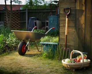 A red wheeled galvanised wheelbarrow sits in a garden besude a trig of vegetables and a garden fork