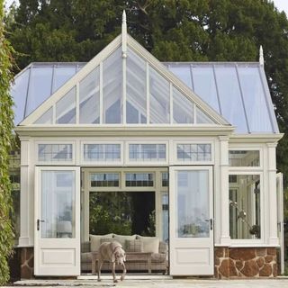 Victorian style cream conservatory with dog in the doorway