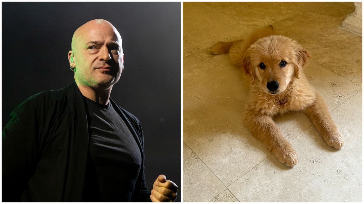 David Draiman, and his puppy Charlotte