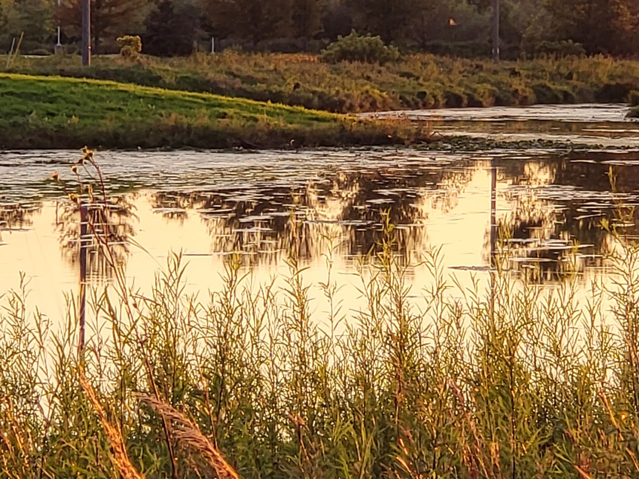 Samsung Galaxy Z Fold 3 camera samples