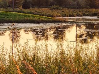 Samsung Galaxy Z Fold 3 camera samples