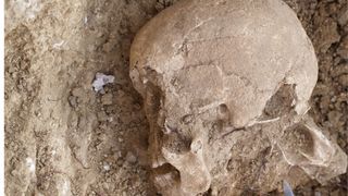A close up of a light brown skull looking to the left of the image, half unearthed in dusty mud