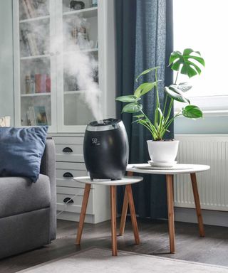 humidifier in living space