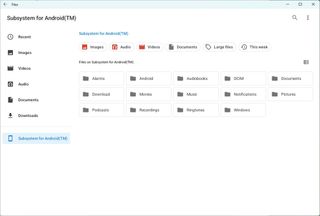 File manager in WSA