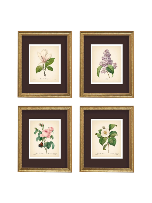 Set of 4 Vintage Botanical Prints
