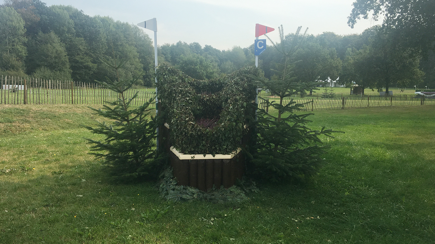 Fence 12c European Eventing Championships 2019