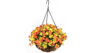 best hanging flowers